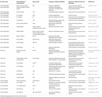 Cardiac Fibrosis and Cardiac Fibroblast Lineage-Tracing: Recent Advances